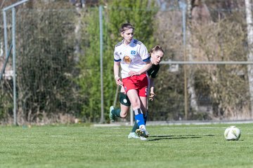 Bild 281 - wBJ Hamburger SV - WfL Wolfsburg : Ergebnis: 2:1